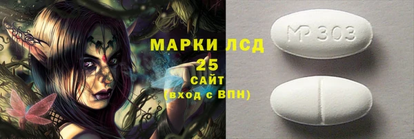 ПСИЛОЦИБИНОВЫЕ ГРИБЫ Арсеньев