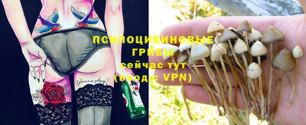 гашиш Аркадак
