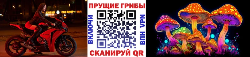купить   hydra ТОР  Псилоцибиновые грибы GOLDEN TEACHER  Спасск-Дальний 